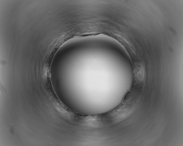 X0000090920574200708061545