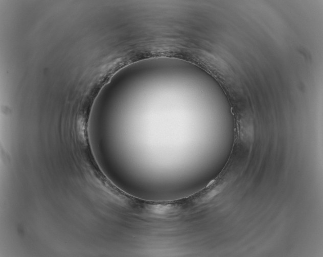 X0000090920575200708061545