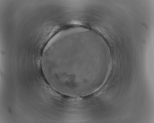 X0000090920576200708061545