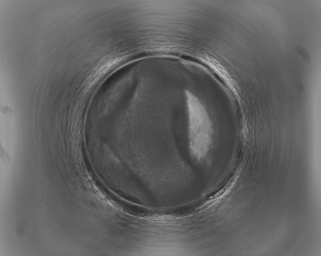 X0000090920577200708061544