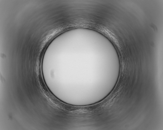 X0000090920578200708061544