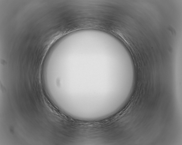 X0000090920579200708061544