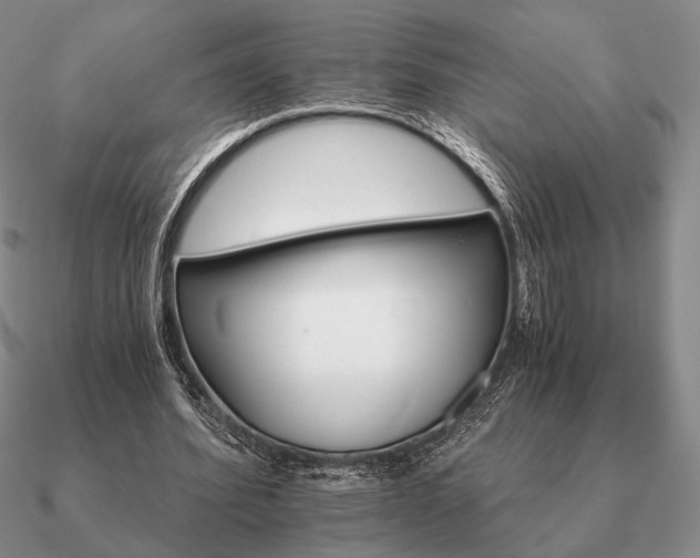 X0000090920580200708061544