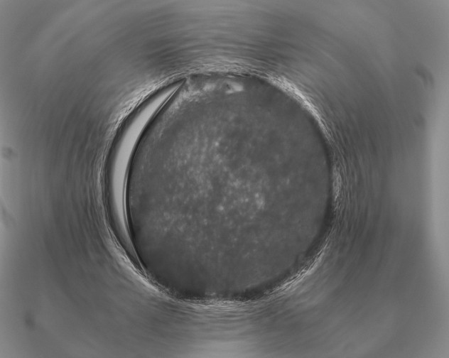 X0000090920581200708061544