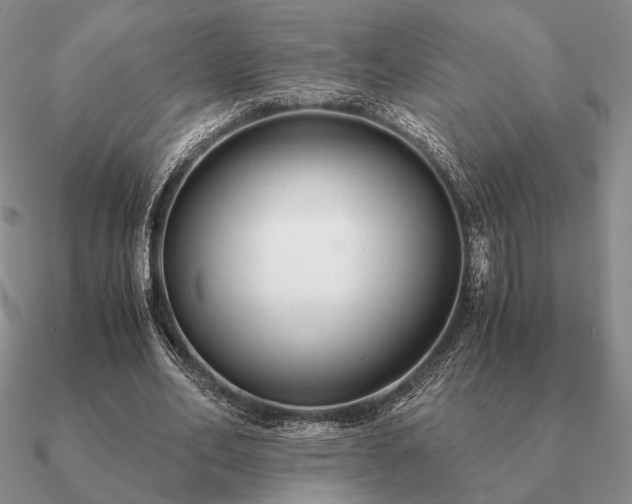 X0000090920582200708061544