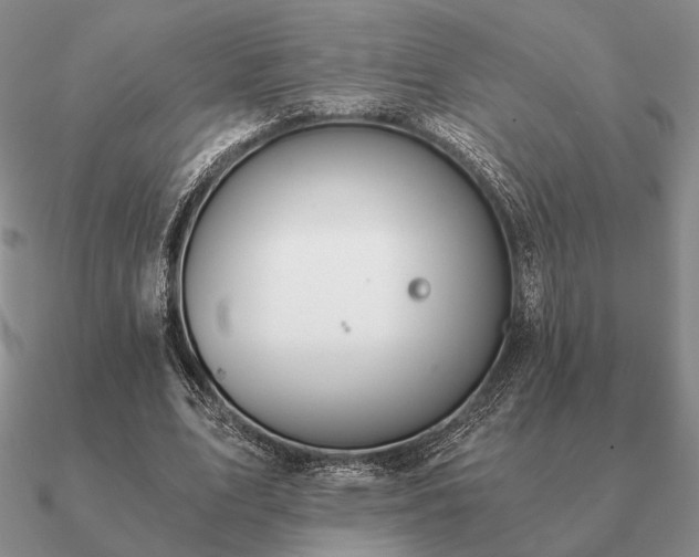 X0000090920583200708061544