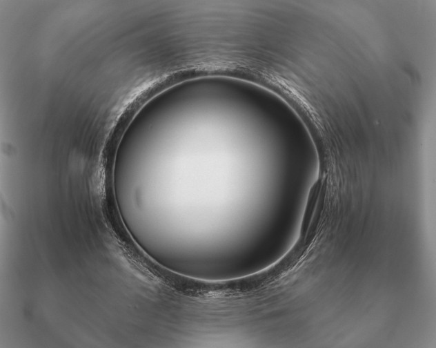 X0000090920584200708061544