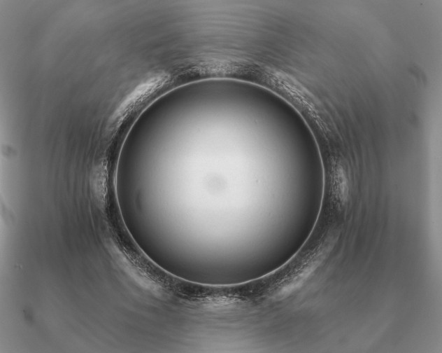 X0000090920586200708061544