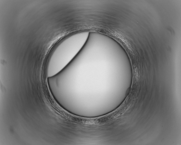 X0000090920587200708061544