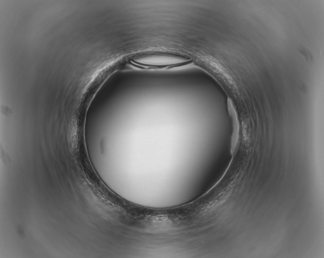 X0000090920588200708061544