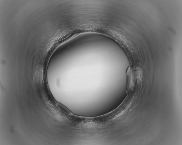 X0000090920589200708061544