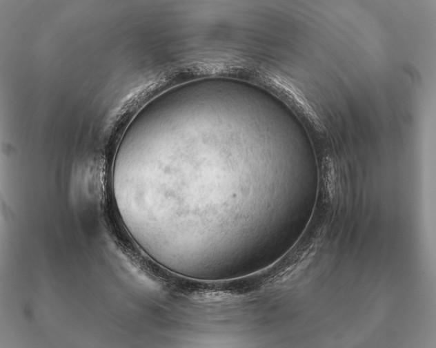 X0000090920590200708061544