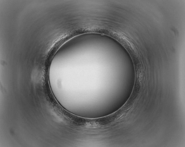 X0000090920591200708061544