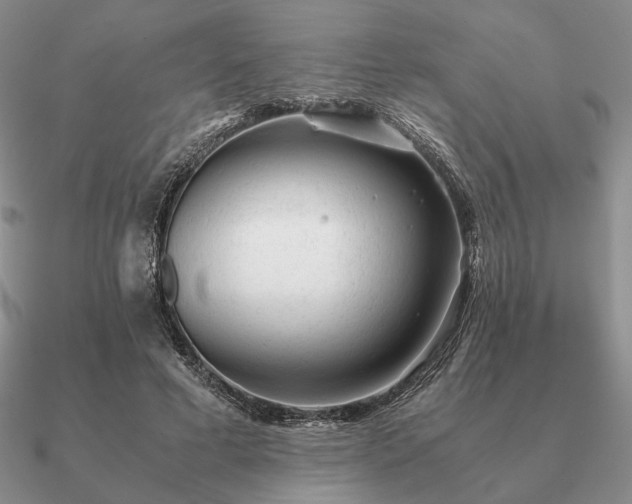 X0000090920593200708061544