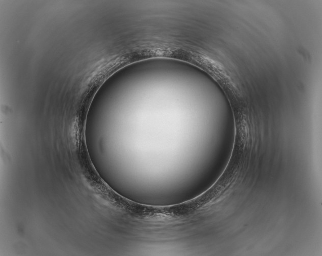 X0000090920594200708061544