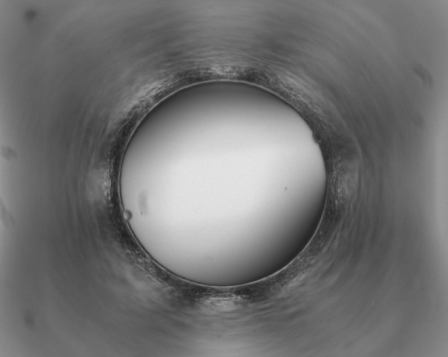 X0000090920595200708061544