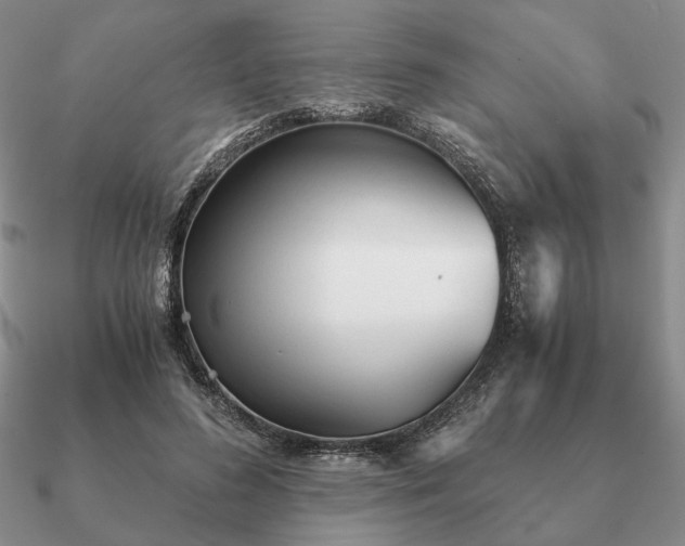 X0000090920596200708061544