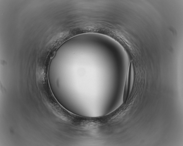 X0000090920597200708061544