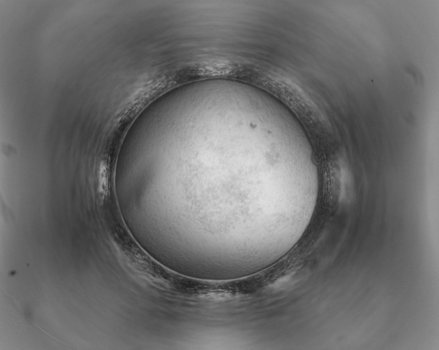 X0000090920598200708061544