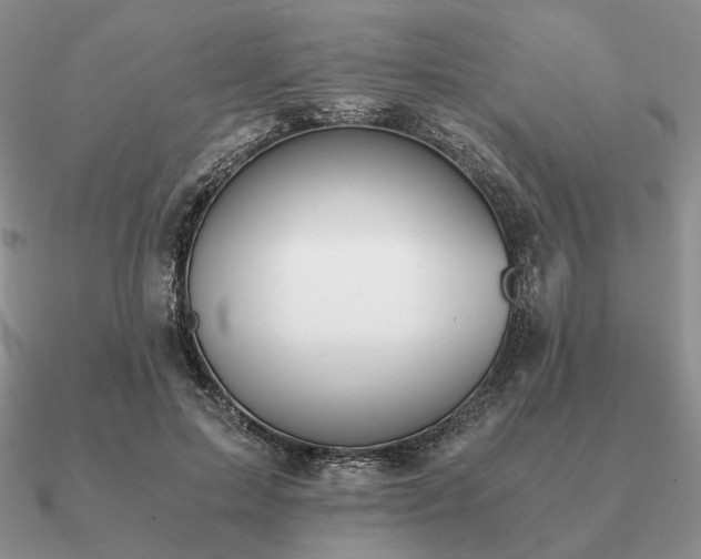 X0000090920599200708061544