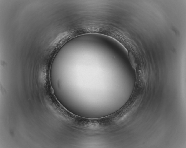 X0000090920600200708061544