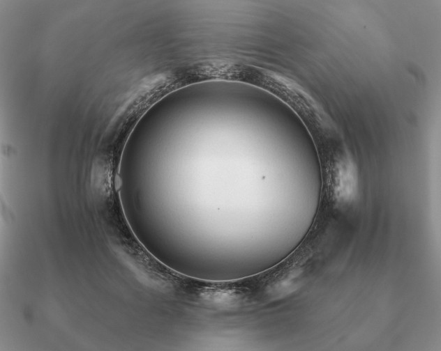 X0000090920602200708061544