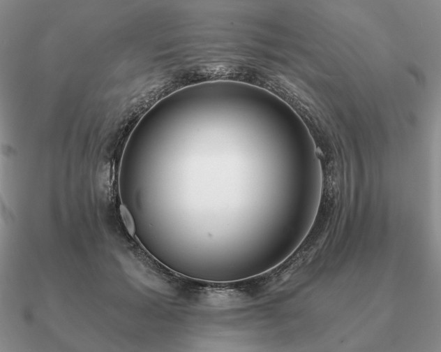 X0000090920605200708061544