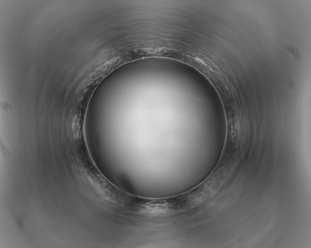 X0000090920606200708061544