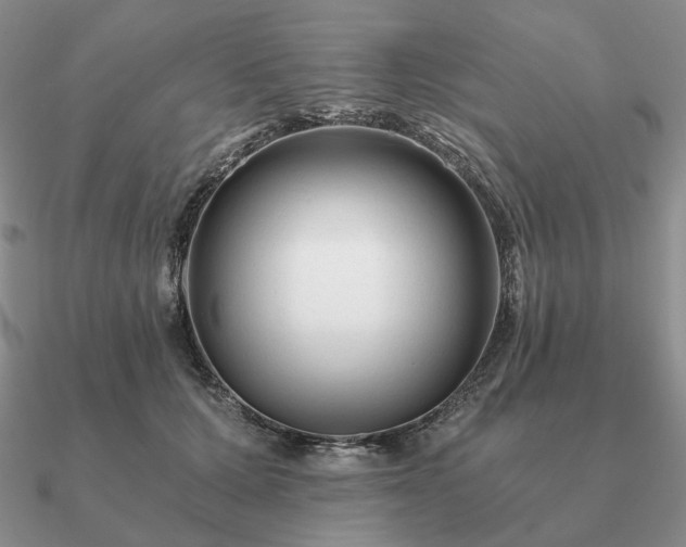 X0000090920607200708061544