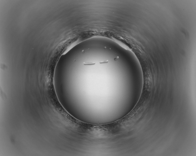 X0000090920608200708061544