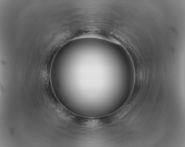 X0000090920609200708061544