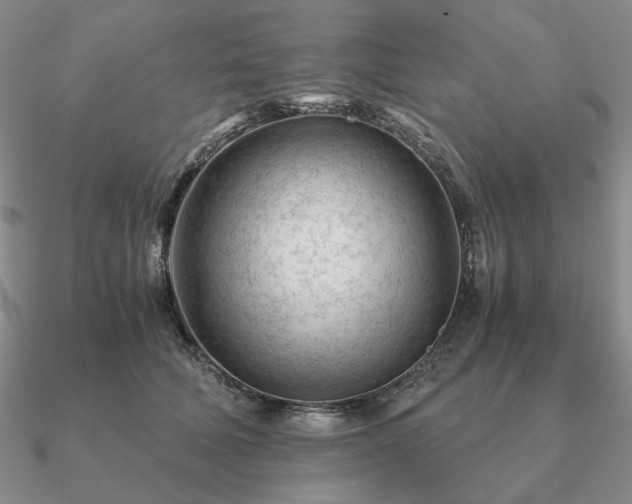 X0000090920610200708061544