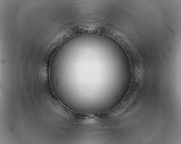 X0000090920612200708061544