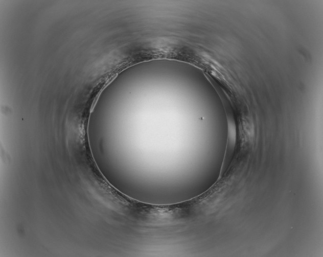 X0000090920613200708061544