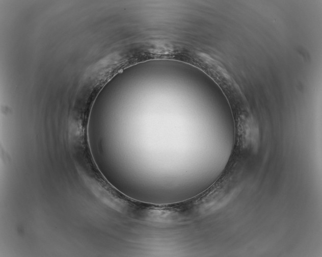 X0000090920614200708061544