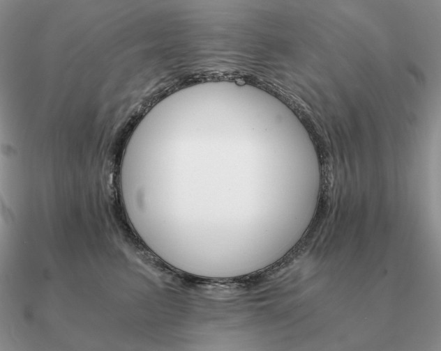 X0000090920615200708061544