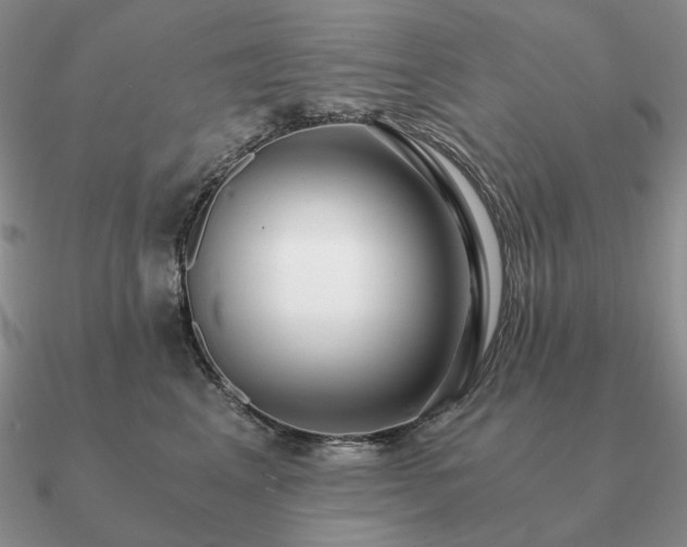 X0000090920617200708061544