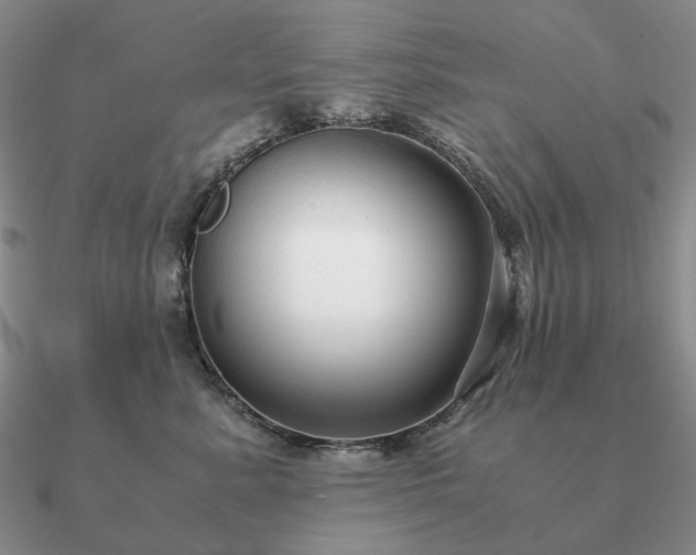 X0000090920619200708061544