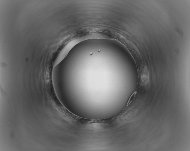 X0000090920620200708061544