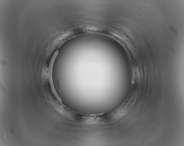 X0000090920621200708061544