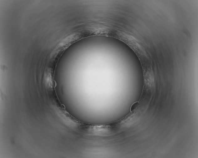 X0000090920622200708061544