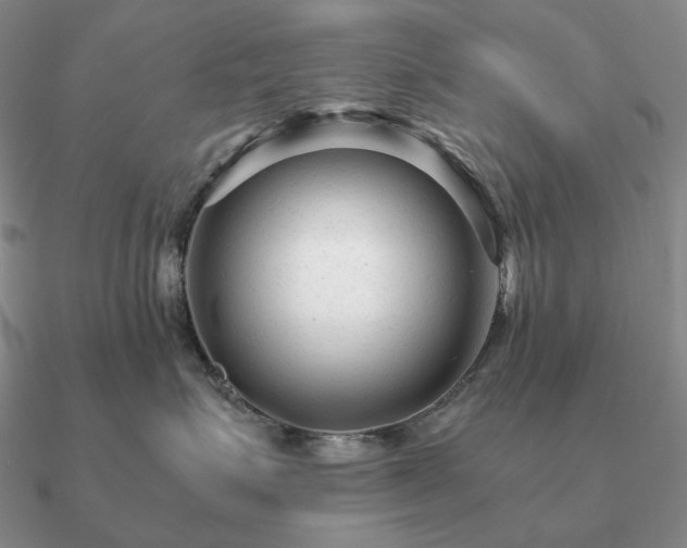 X0000090920623200708061544