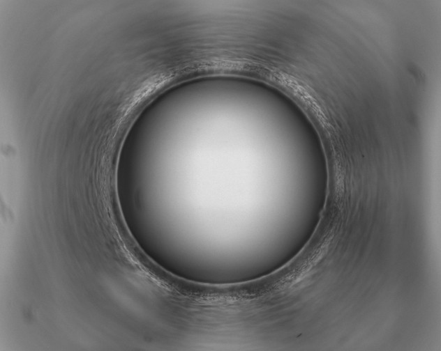 X0000090920625200708061543