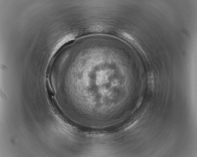 X0000090920626200708061543