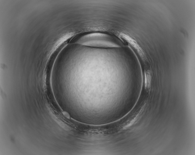 X0000090920627200708061543