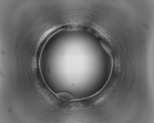 X0000090920628200708061543