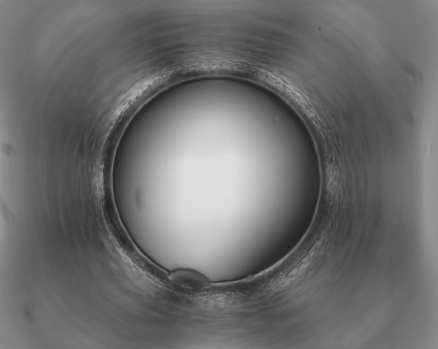 X0000090920629200708061543