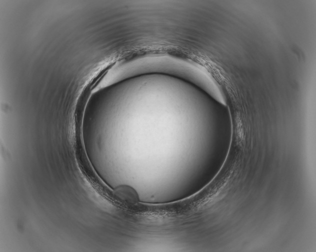 X0000090920630200708061543