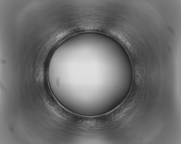 X0000090920631200708061543