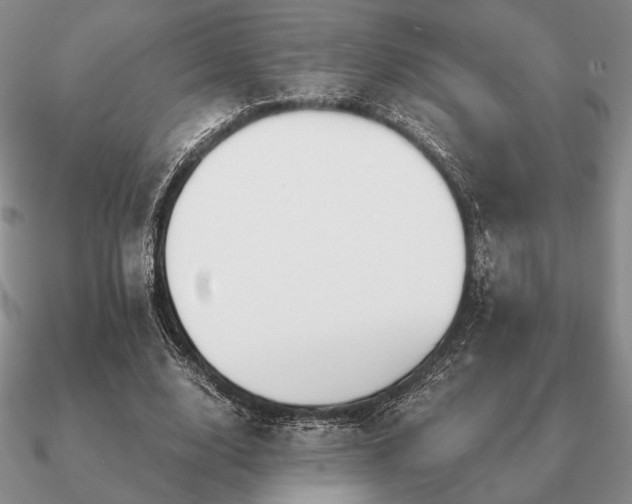 X0000090920632200708061543